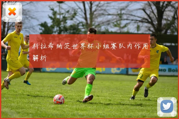 科拉希纳茨世界杯小组赛队内作用解析