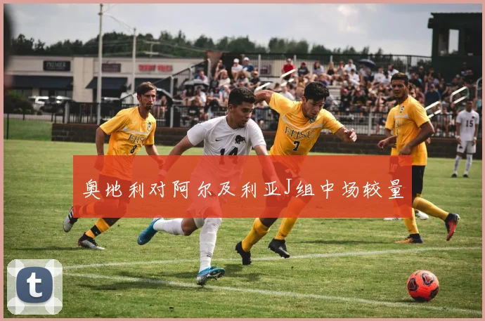 奥地利对阿尔及利亚J组中场较量
