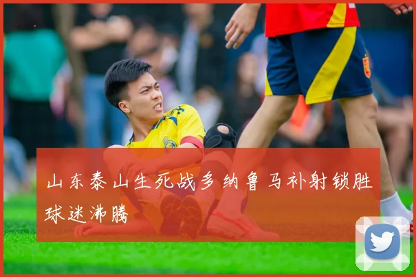 山东泰山生死战多纳鲁马补射锁胜球迷沸腾