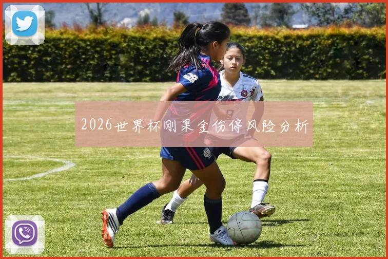 2026世界杯刚果金伤停风险分析
