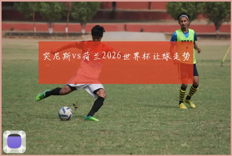 突尼斯vs荷兰2026世界杯让球走势
