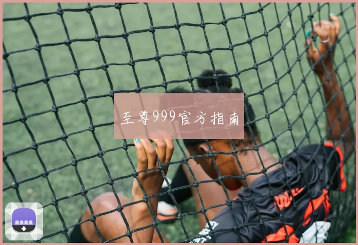 至尊999官方指南