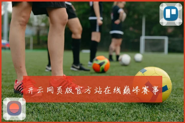 开云网页版官方站在线巅峰赛事