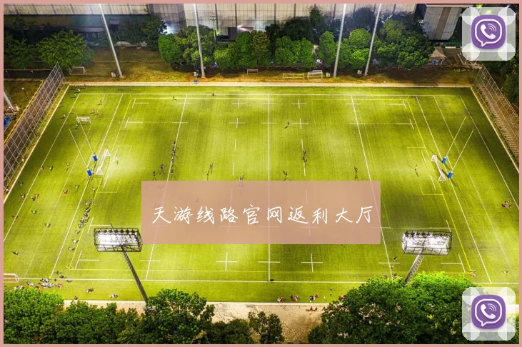 天游线路官网返利大厅