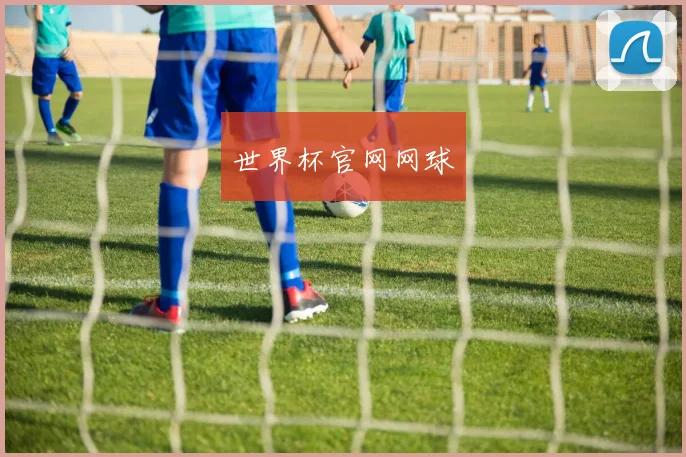 世界杯官网网球