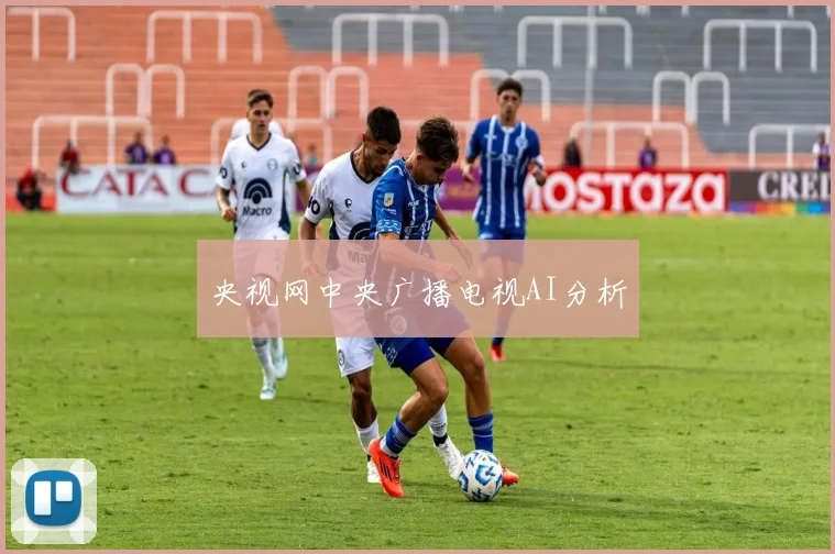 央视网中央广播电视AI分析