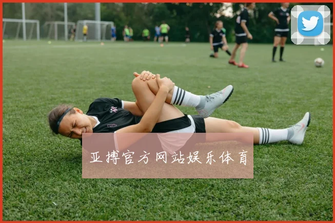 亚搏官方网站娱乐体育
