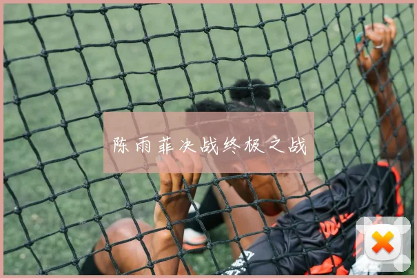 陈雨菲决战终极之战