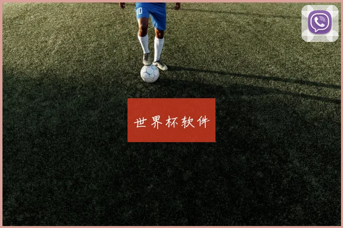 世界杯软件