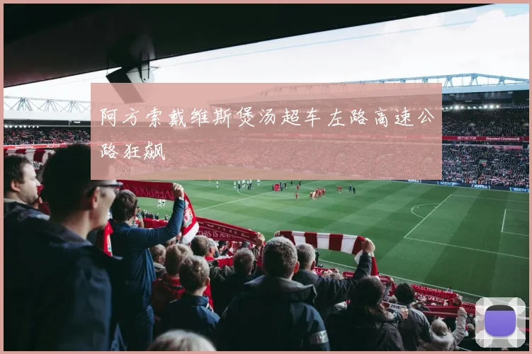 阿方索戴维斯煲汤超车左路高速公路狂飙