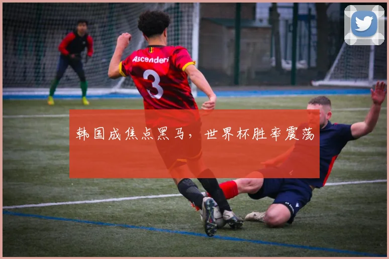 韩国成焦点黑马，世界杯胜率震荡