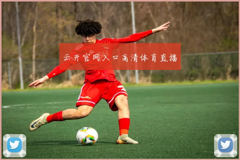 云开官网入口高清体育直播
