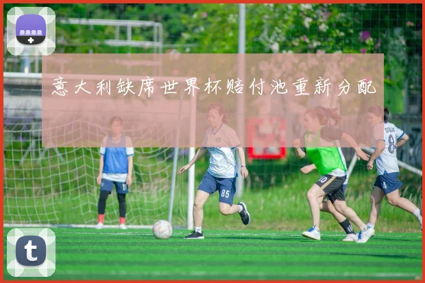 意大利缺席世界杯赔付池重新分配