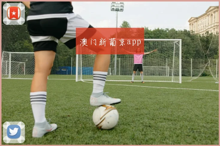 澳门新葡京app