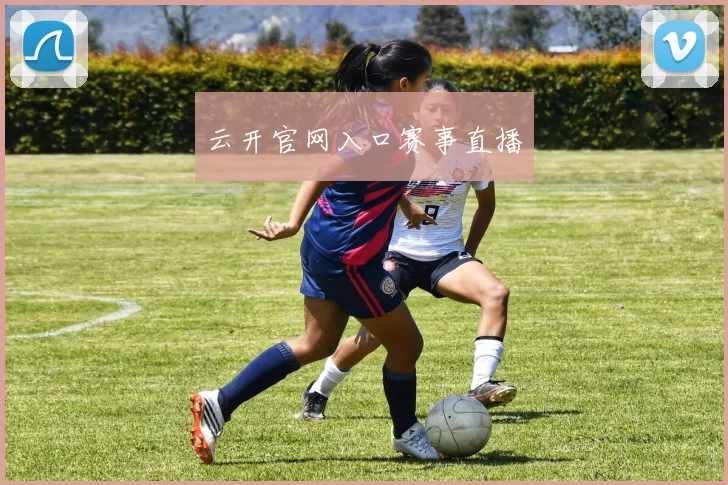 云开官网入口赛事直播