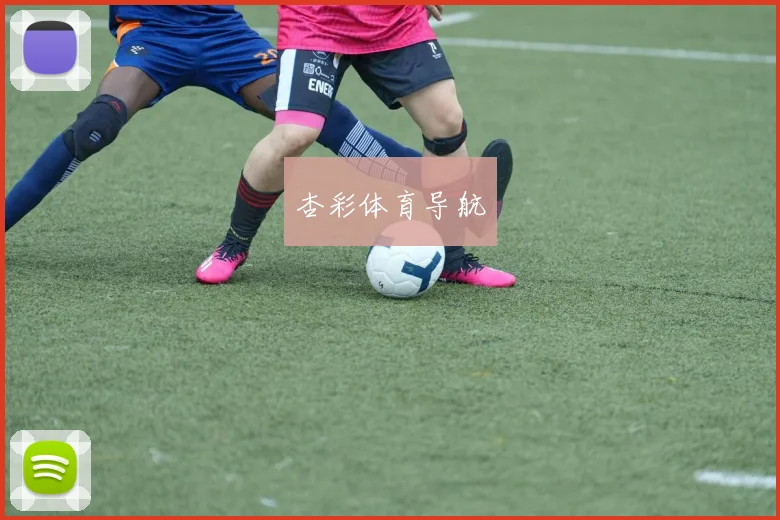 杏彩体育导航
