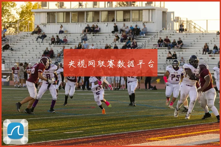 央视网联赛数据平台