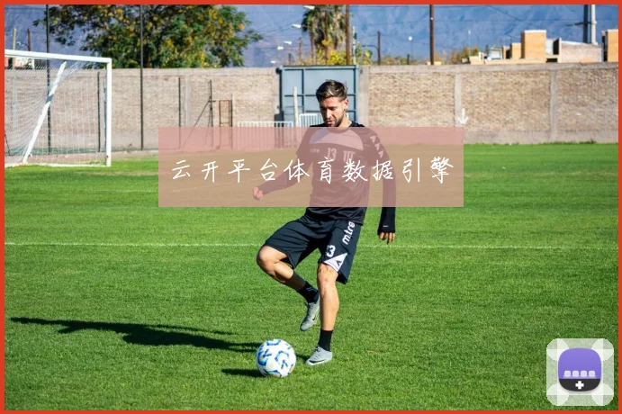 云开平台体育数据引擎