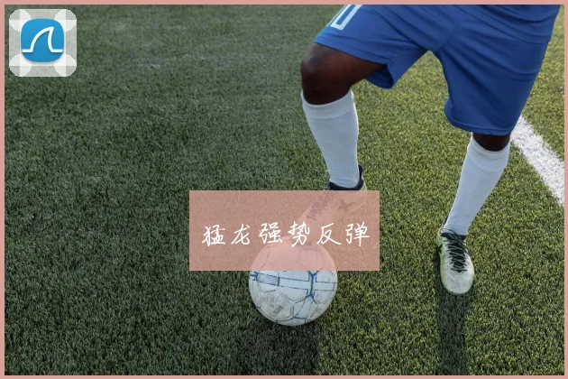 猛龙强势反弹