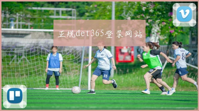 正规det365登录网站