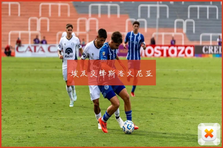 埃及交锋斯洛文尼亚