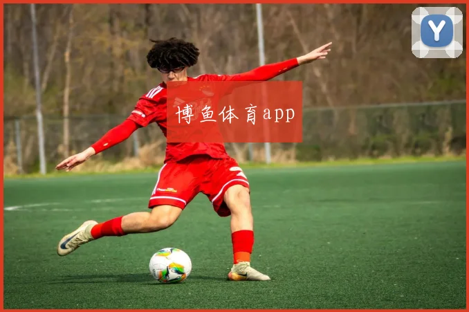 博鱼体育app