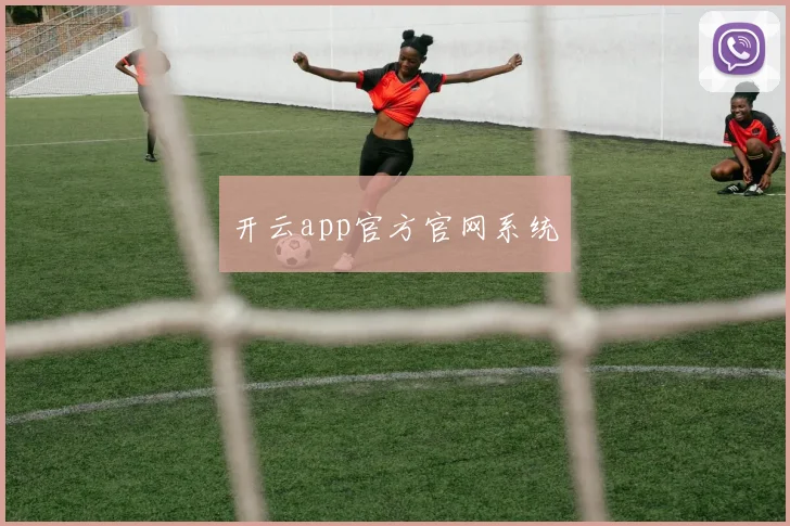 开云app官方官网系统