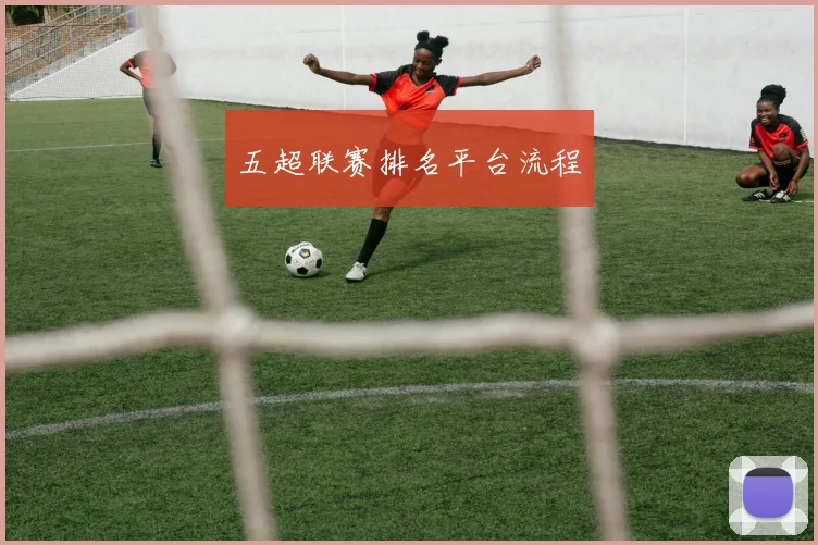 五超联赛排名平台流程