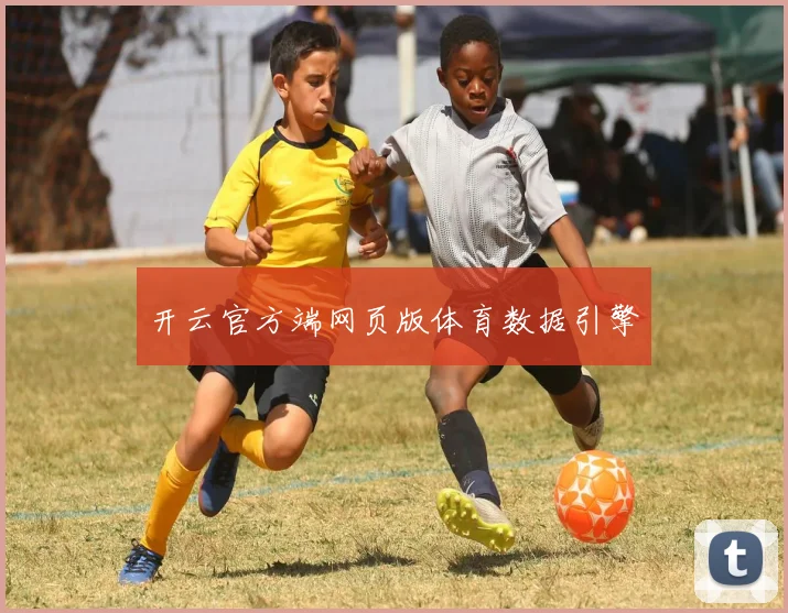 开云官方端网页版体育数据引擎