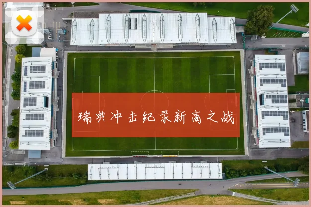 瑞典冲击纪录新高之战