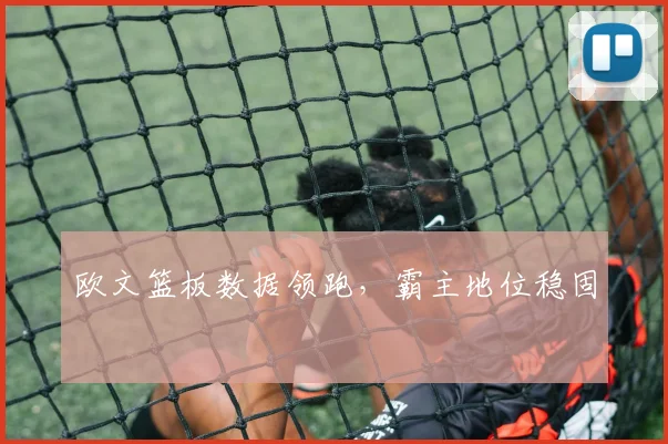 欧文篮板数据领跑，霸主地位稳固