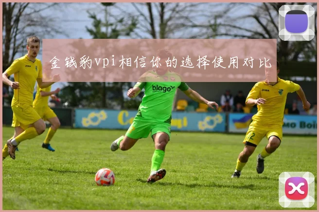 金钱豹vpi相信你的选择使用对比