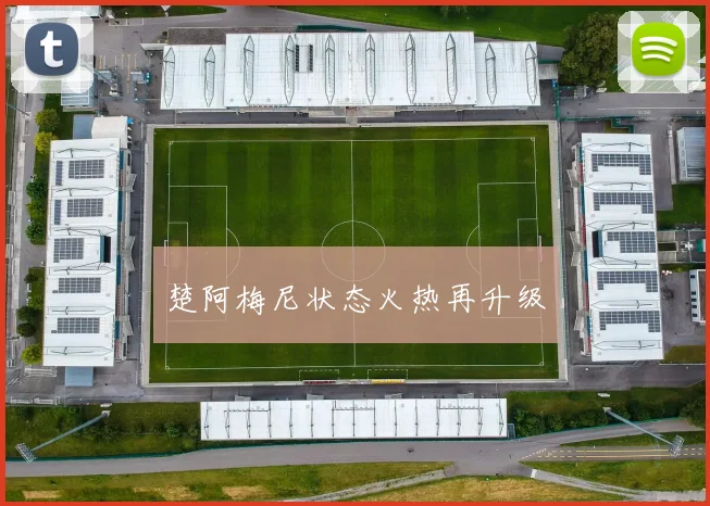 楚阿梅尼状态火热再升级