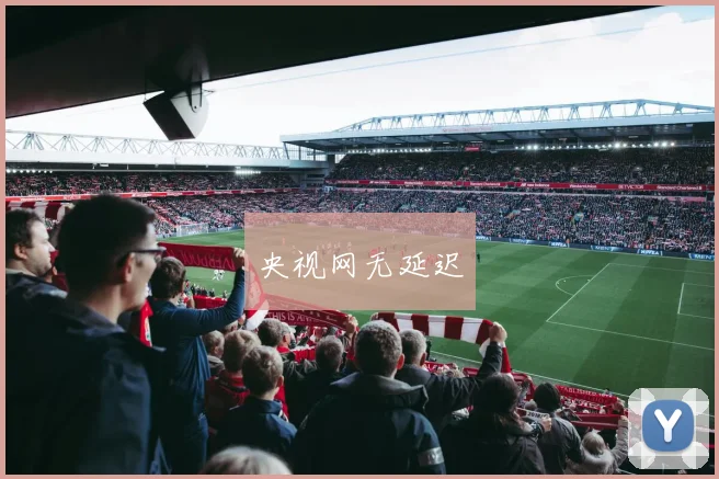 央视网无延迟