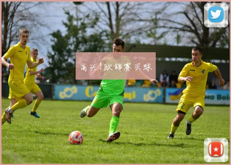 高兴!欧锦赛买球