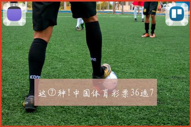 这⑦种!中国体育彩票36选7