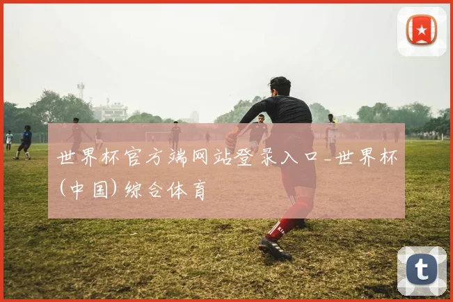 世界杯官方端网站登录入口_世界杯(中国)综合体育
