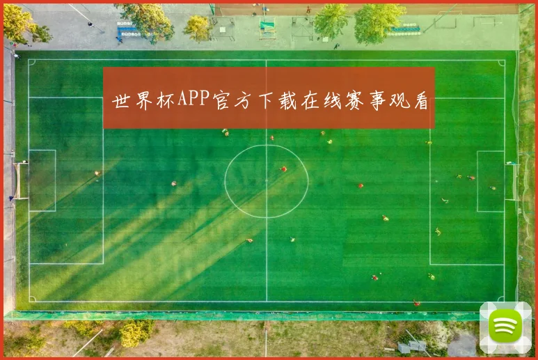 世界杯APP官方下载在线赛事观看