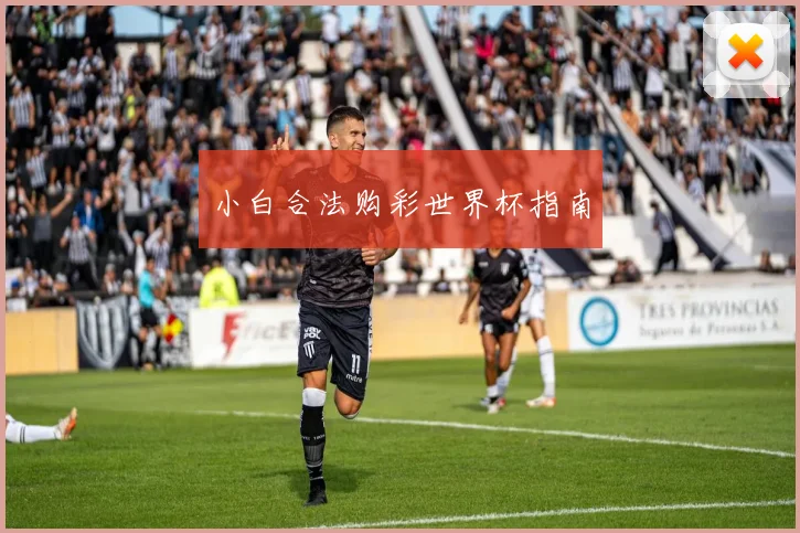 小白合法购彩世界杯指南