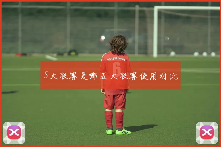 5大联赛是哪五大联赛使用对比