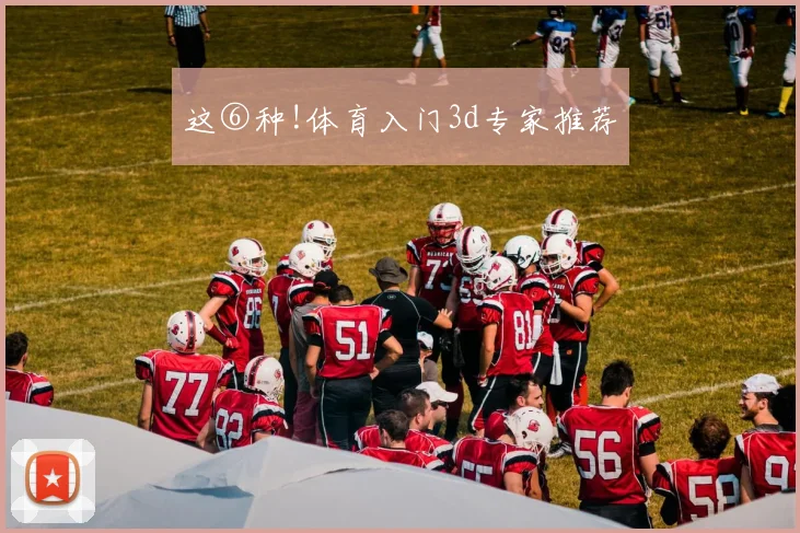 这⑥种!体育入门3d专家推荐